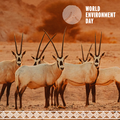 154315742936.png bc9a0f12eb4fa056095614ca2660ec7.png