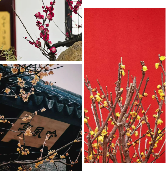 142300726145.png 18609a51713631bb5894bbd33641c28.png